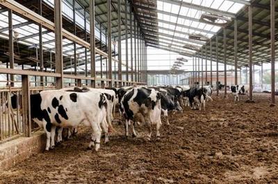 農(nóng)業(yè)四大支柱 種植業(yè)、畜牧業(yè)、林業(yè)與漁業(yè)的協(xié)同發(fā)展與飼料供給