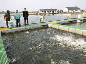 魚躍“跑道”煥新生 水鄉(xiāng)興起循環(huán)養(yǎng)殖，傳統(tǒng)漁業(yè)駛?cè)肷?jí)快車道