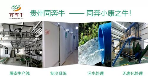 A級(jí)畜禽屠宰加工廠即將投產(chǎn)，優(yōu)質(zhì)產(chǎn)品將輻射全國市場(chǎng)